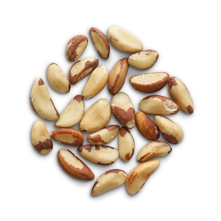 AMAZON NUTS | BULK (500G)