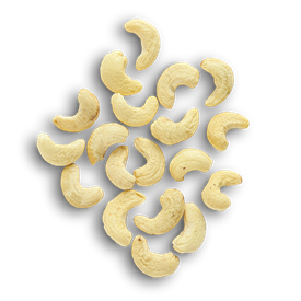 CASHEW NUTS | PLAIN | BULK (500G)